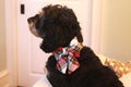 Dog Collar With Bow (9220435214641)